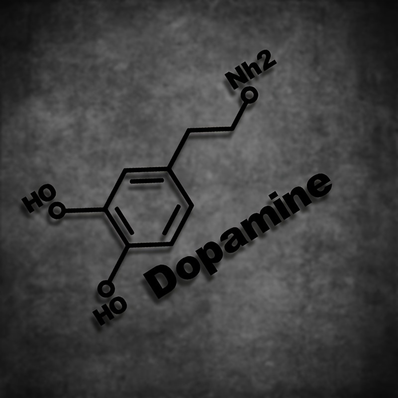 1PC Dopamine Molecule Chemical - Home Decor Dopamine 评论和价格