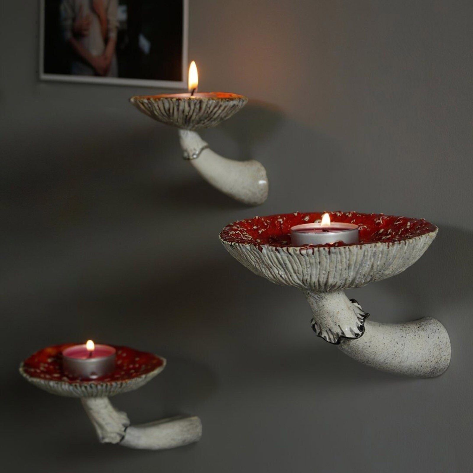 2024 Creative Resin Mushroom-H - Floating Shelves 评论和价格