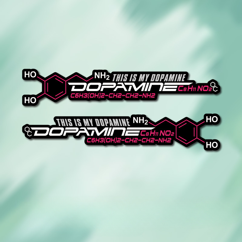 2pcs Dopamine Molecular Cyclin - Home Decor Dopamine 评论和价格