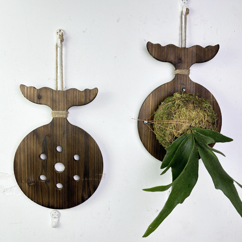New Wooden Staghorn Fern Wall  - Woven Wall Basket 评论和价格