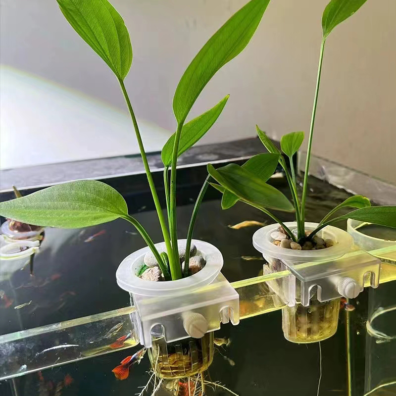 Aquarium Planting Basket Hydro - Woven Wall Basket 评论和价格