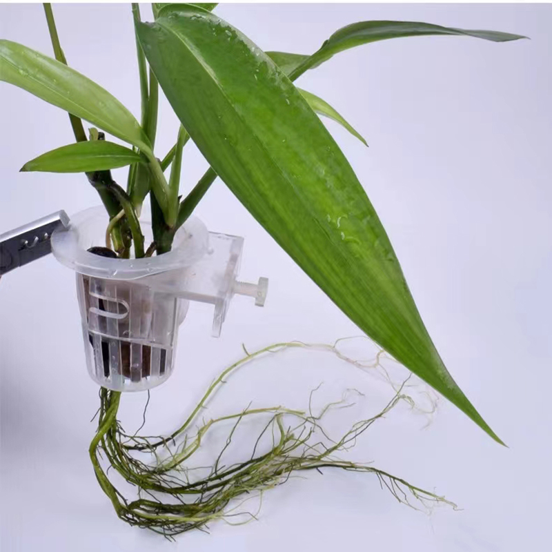 Aquarium Planting Basket Hydro - Woven Wall Basket 评论和价格